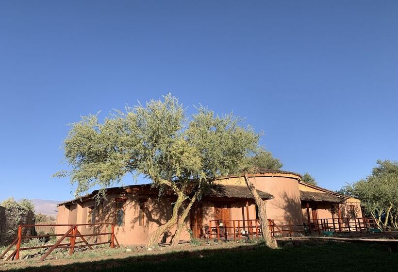 בית מלון כפרי Sami Atacama