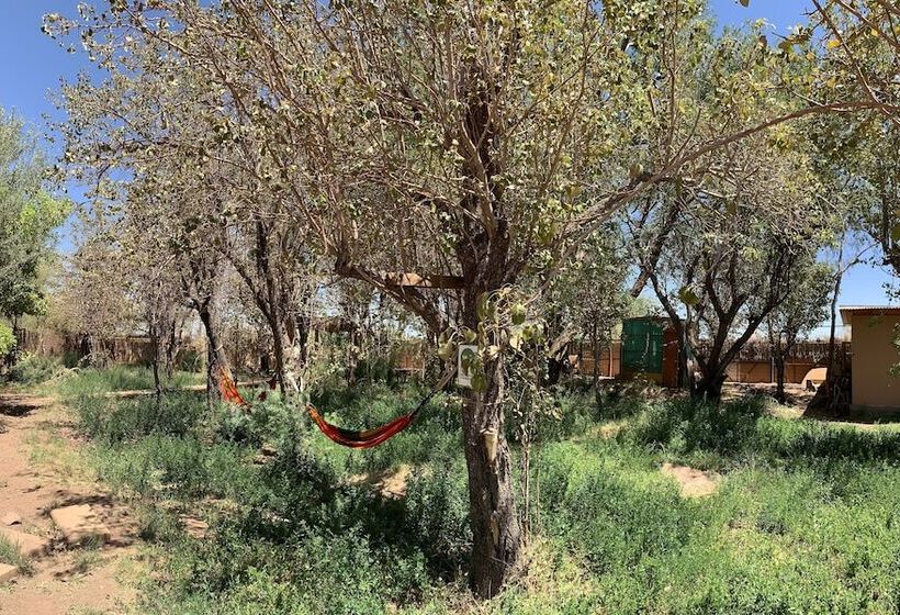 בית מלון כפרי Sami Atacama