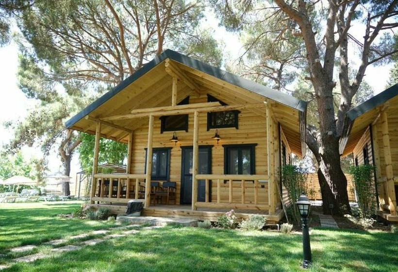 مبيت وإفطار Pino Mar Luxury Bungalows