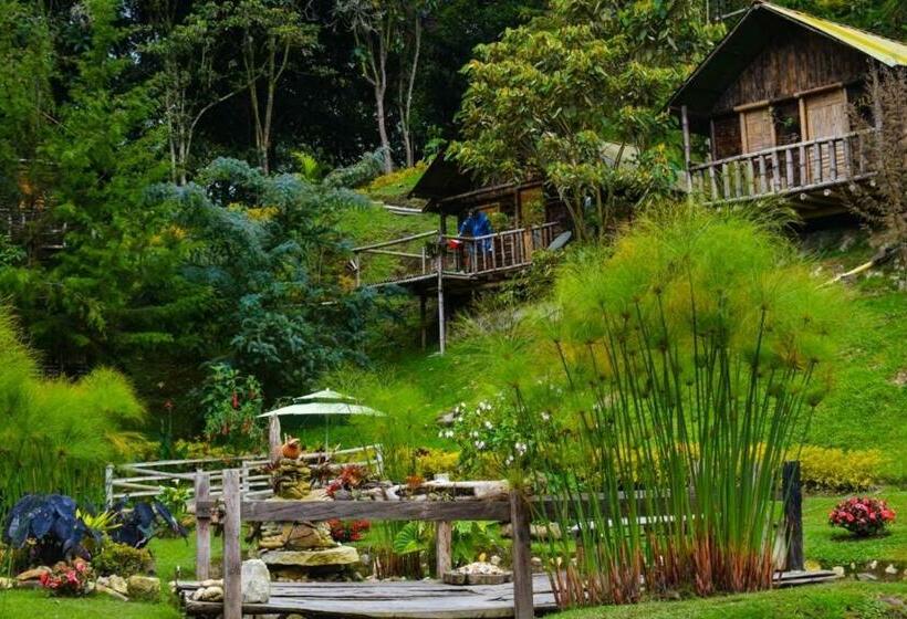 בית מלון כפרי Cabañas Rústicas El Viejo Tambo