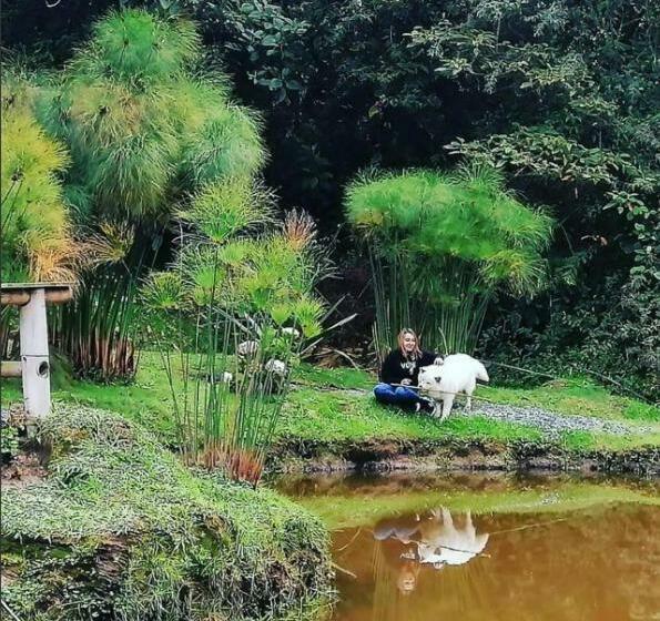 בית מלון כפרי Cabañas Rústicas El Viejo Tambo