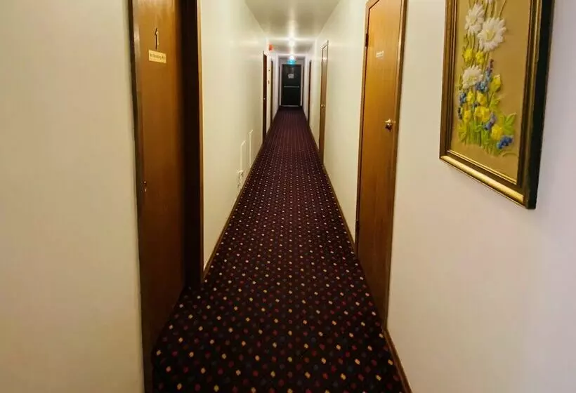 ホテル Theodore Motor