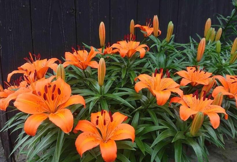 Pensão Farm Stay Inn 母屋 Sanzaemon Tei Guesthouse Second Floor Shiga Takasima Traditional Japanese Architect