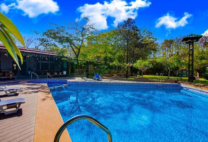 渡假胜地  Club Mahindra Netrang