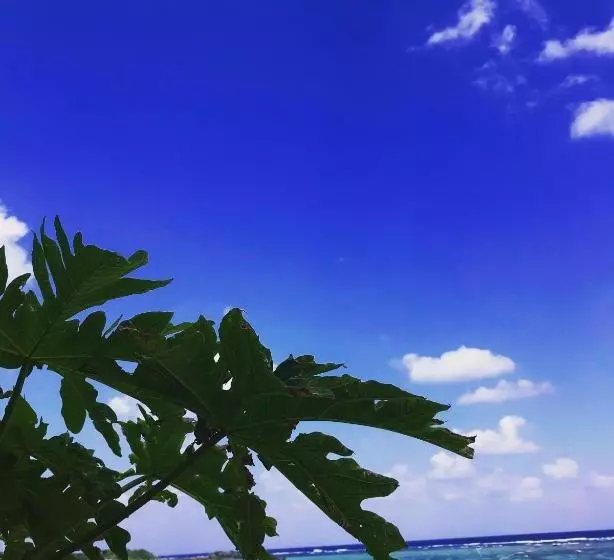 Retkeilymaja みーまん奄美