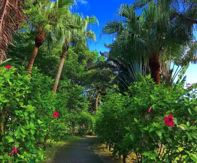 Retkeilymaja みーまん奄美