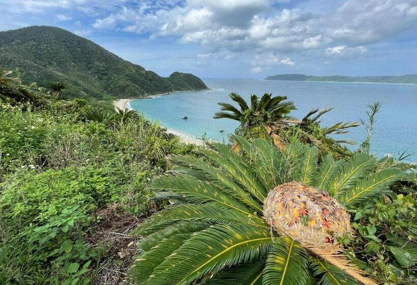 הוסטל みーまん奄美