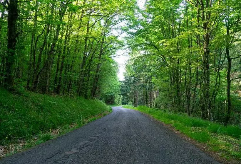 Aamiaismajoitus (B&B) Ce Petit Chemin