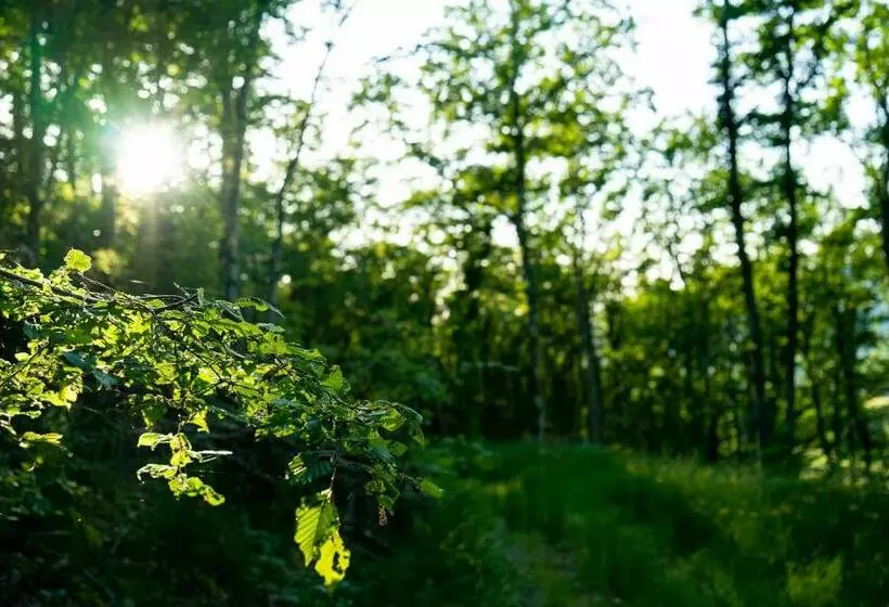 Aamiaismajoitus (B&B) Ce Petit Chemin
