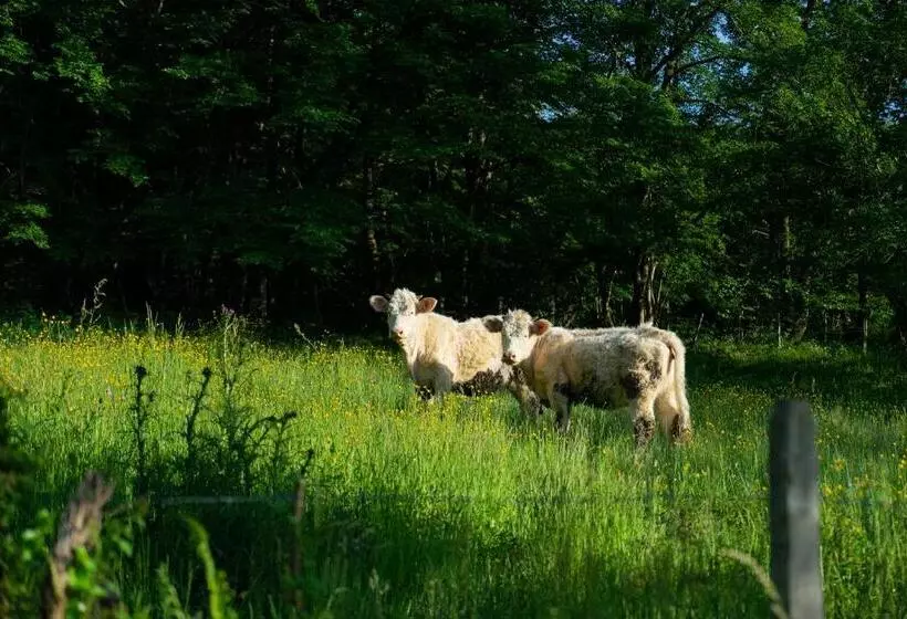 Aamiaismajoitus (B&B) Ce Petit Chemin