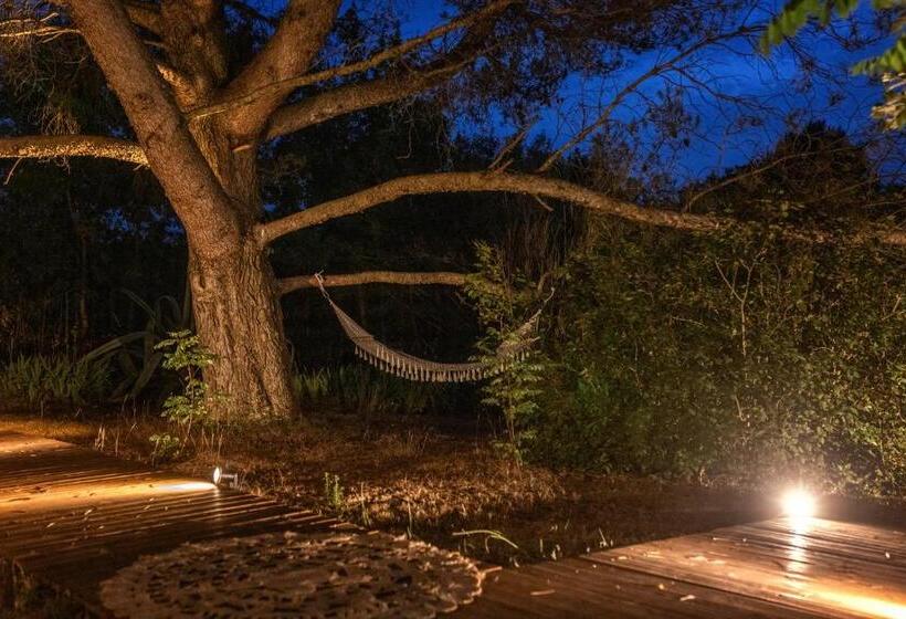 ベッドアンドブレックファースト Nuitées Bohèmes