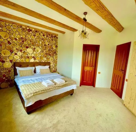 ペンション Casa Crăciun