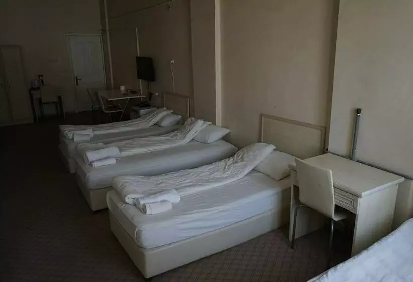 ユースホステル Erdogan Ege Pansiyon