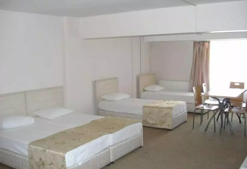 ユースホステル Erdogan Ege Pansiyon