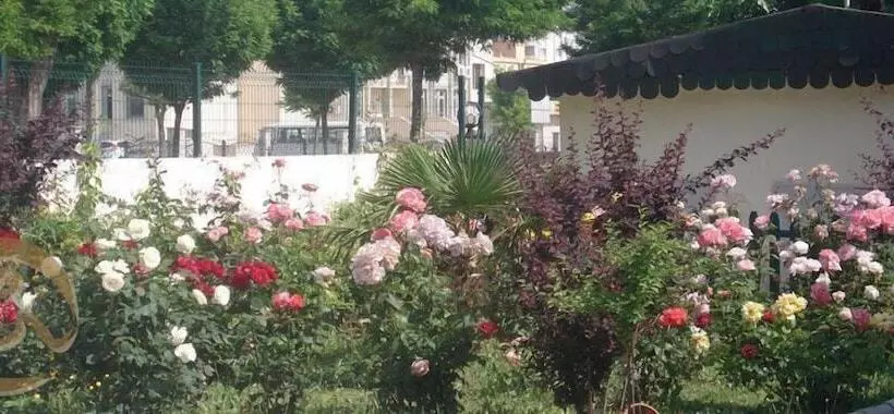 ユースホステル Erdogan Ege Pansiyon