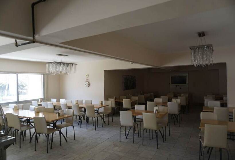 ユースホステル Erdogan Ege Pansiyon