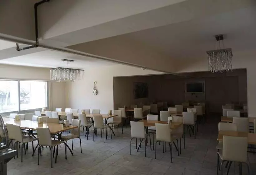 ユースホステル Erdogan Ege Pansiyon