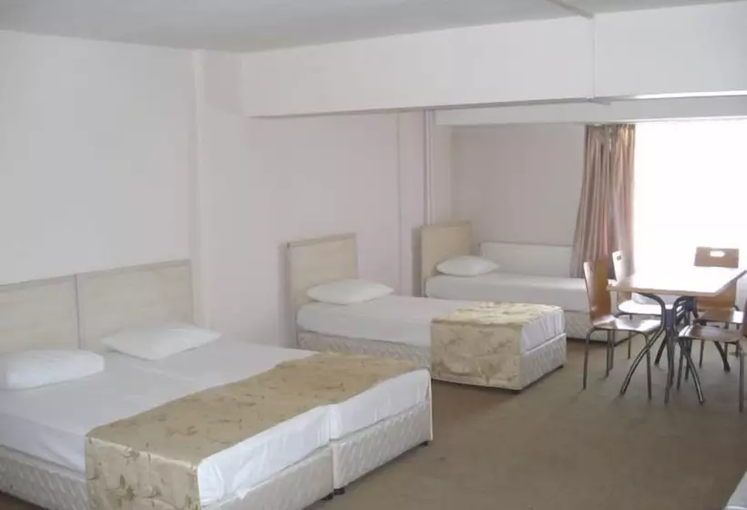 ユースホステル Erdogan Ege Pansiyon