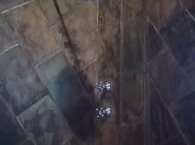 Aamiaismajoitus (B&B) Ikamu S Lodge