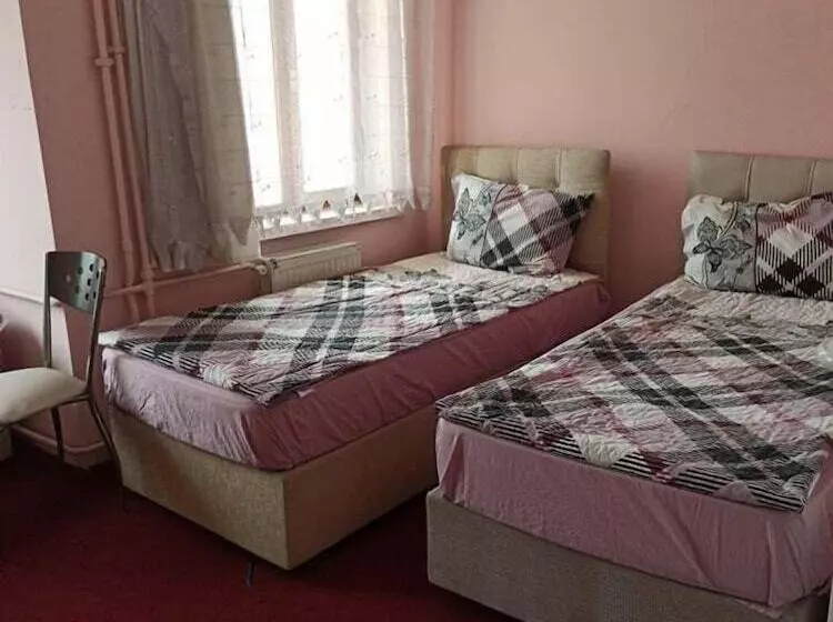 ベッドアンドブレックファースト Afyon Suit Otel