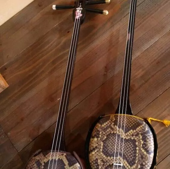 Guest House Connect   Hostel