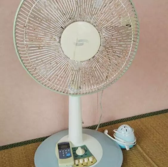 Guest House Connect   Hostel