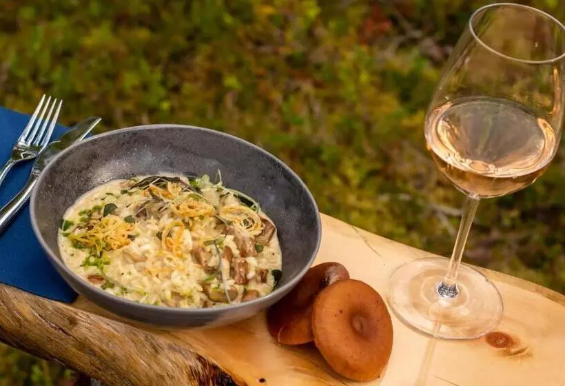 Hotelli Arctic Skylight Lodge