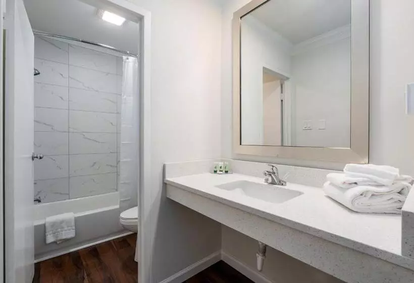 Hotelli Crewe Boutique Inn