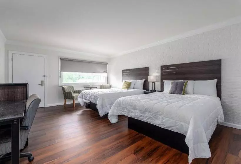 Hotelli Crewe Boutique Inn