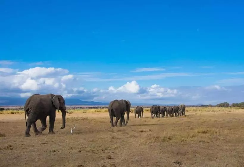 هتل Kimana Amboseli Camp