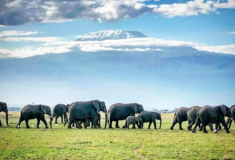 هتل Kimana Amboseli Camp