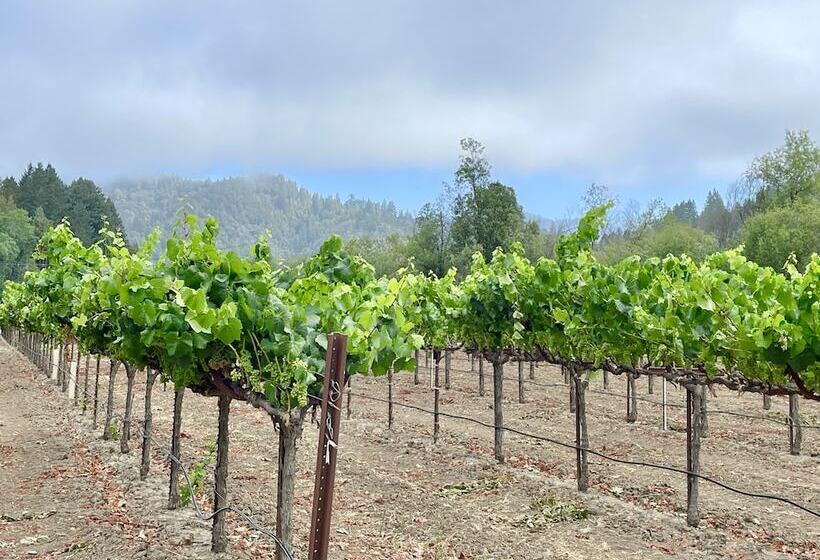 ホテル Surrey Resort