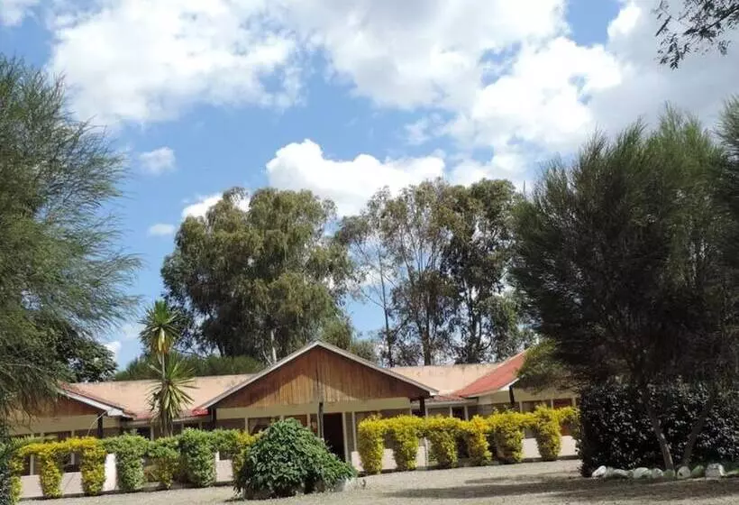 پانسیون Lions Court Lodge