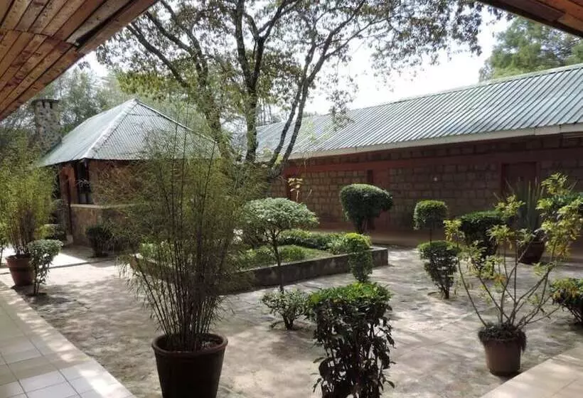 پانسیون Lions Court Lodge