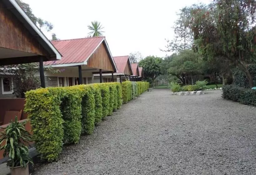 پانسیون Lions Court Lodge