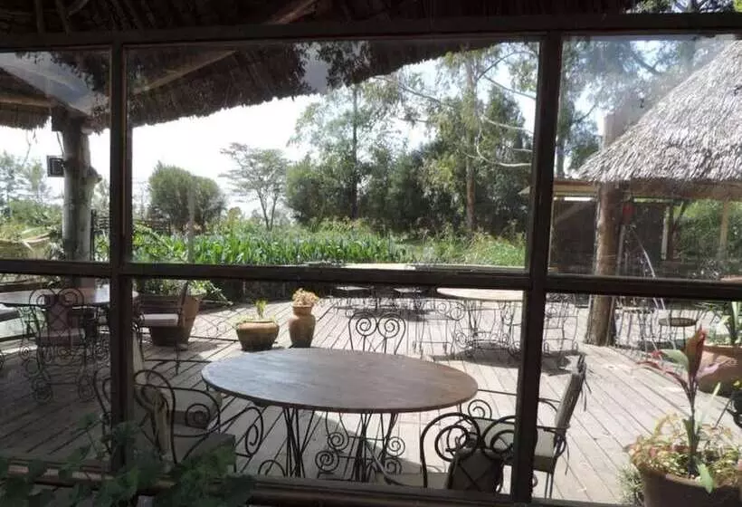 پانسیون Lions Court Lodge