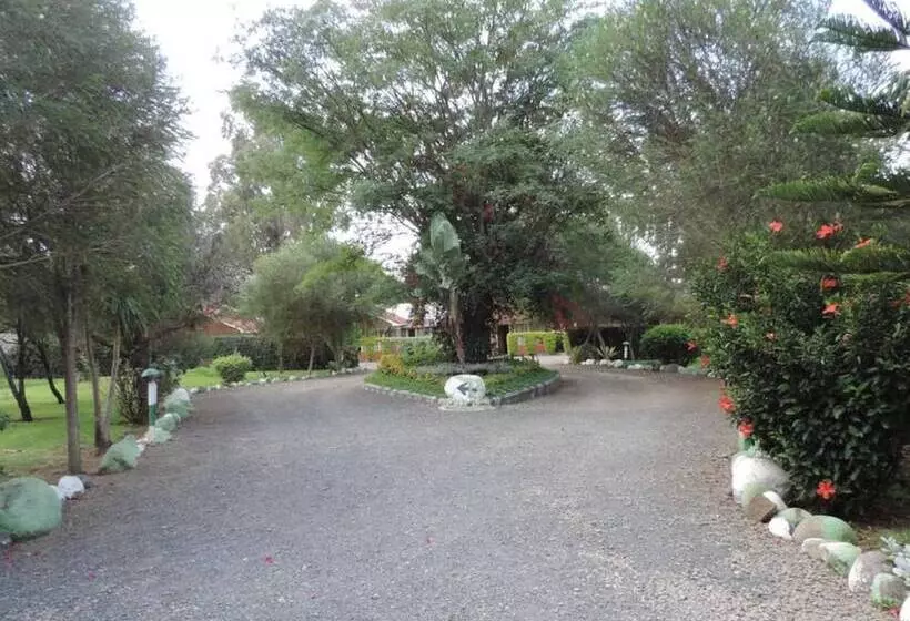 پانسیون Lions Court Lodge