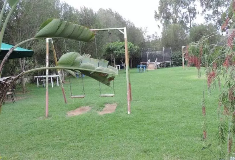 پانسیون Lions Court Lodge