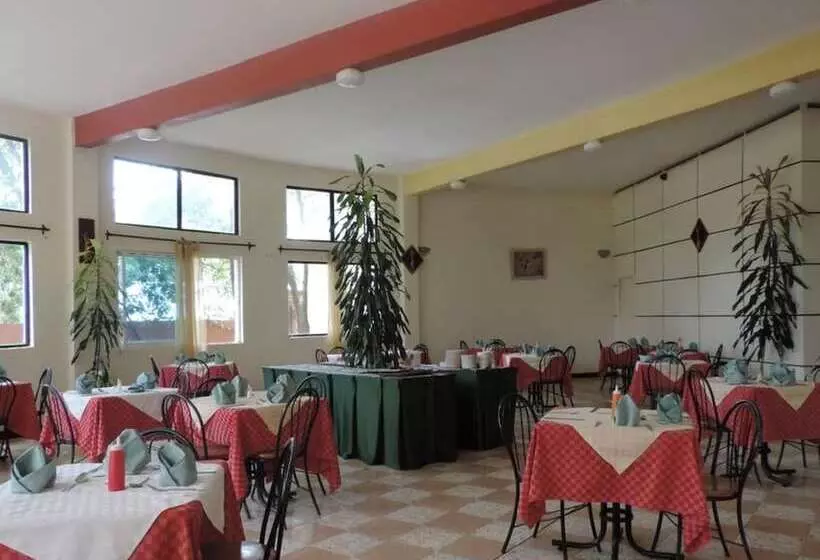 پانسیون Lions Court Lodge