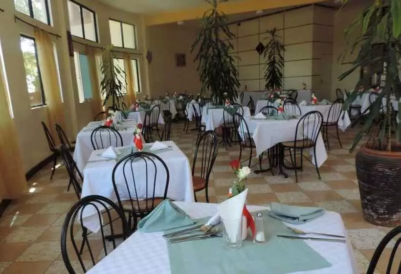 پانسیون Lions Court Lodge