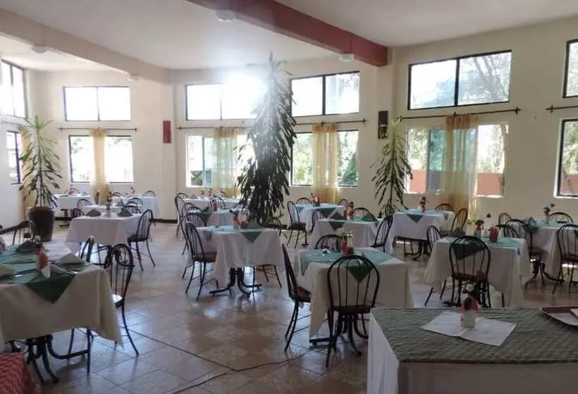 پانسیون Lions Court Lodge