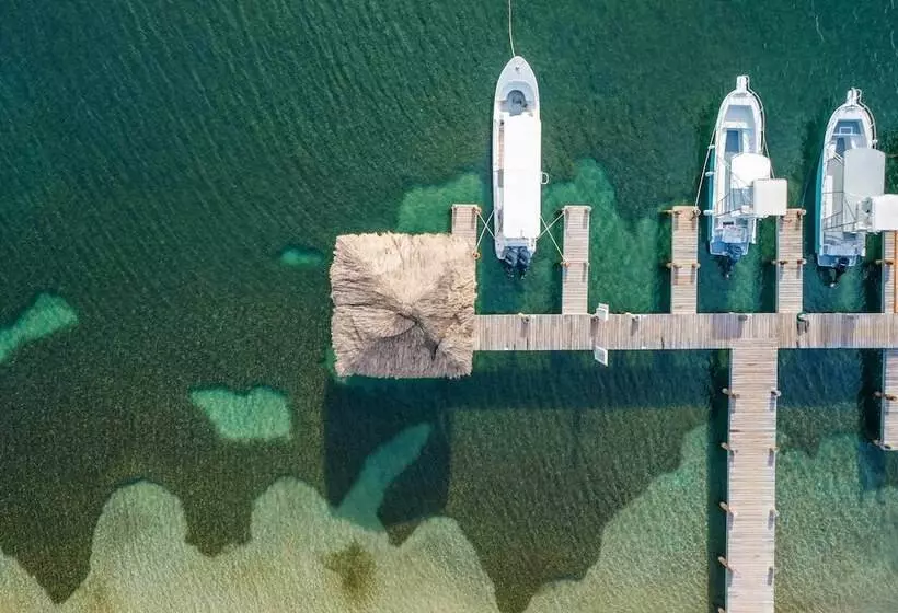 هتل Blue Roatan Resort