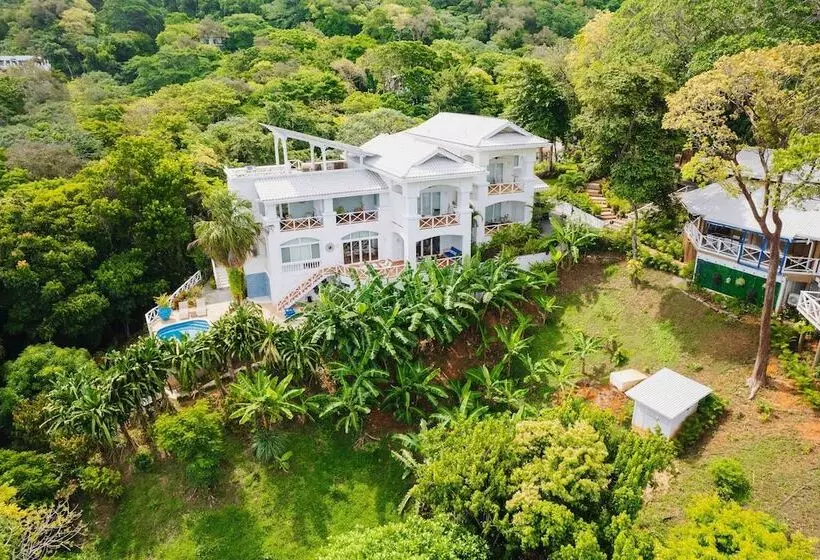 هتل Blue Roatan Resort