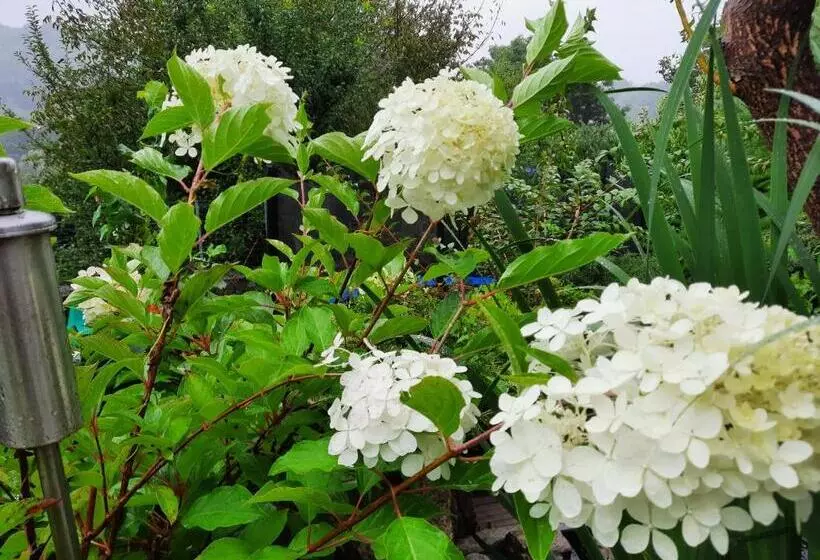 ペンション Penzion Zahrada Nad řekou, Restaurace A Kavárna   Parkování Grátis