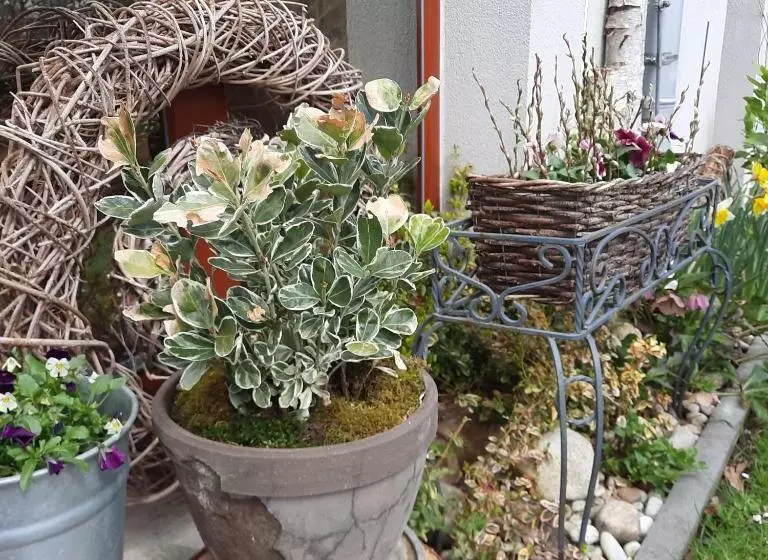 ペンション Penzion Zahrada Nad řekou, Restaurace A Kavárna   Parkování Grátis