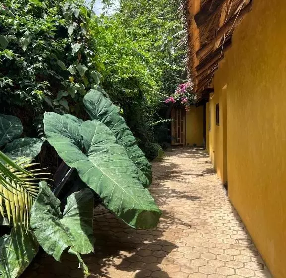 پانسیون Green Garden Guest House