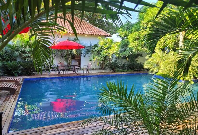 هاستل Hostal Hilltop Palomino