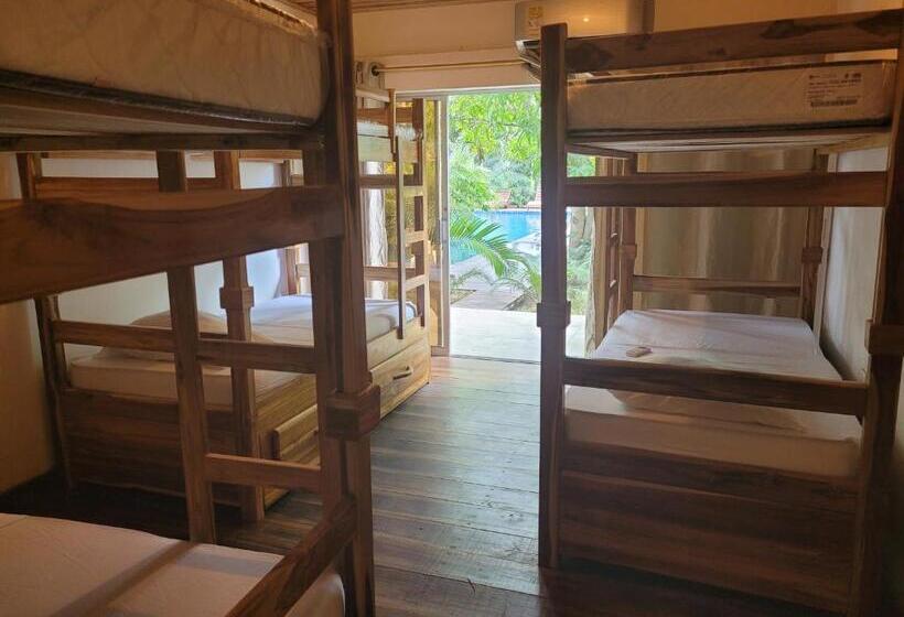 هاستل Hostal Hilltop Palomino