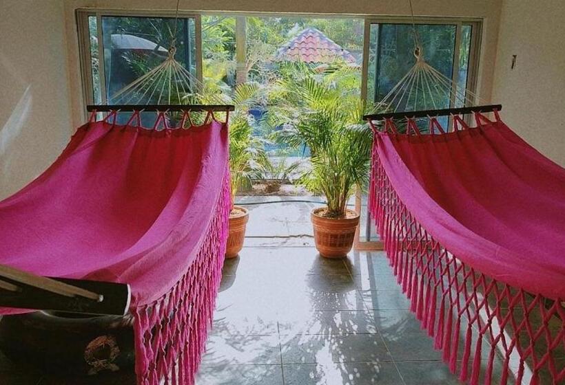 هاستل Hostal Hilltop Palomino