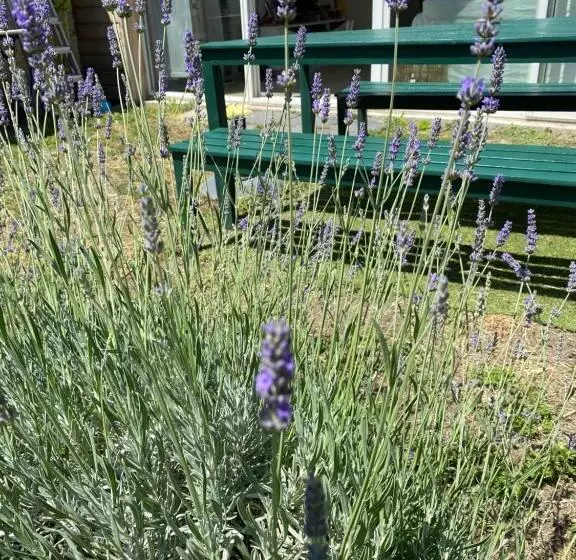 ベッドアンドブレックファースト Côté Court